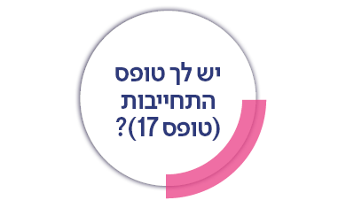 העלאת טופס 17
