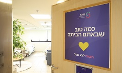 שורדי השבי ארבל, עופר וירדן הגיעו לשיבא
