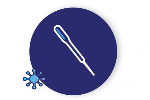 בדיקת קורונה (PCR) 